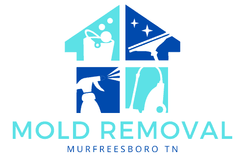 Mold Removal, Nashville, Murfreesboro